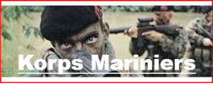 plaatje mariniers blog